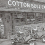 cotton boll