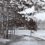 gladstone lake