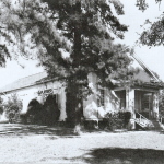 marjorie-lyons