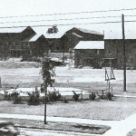 allen and milam