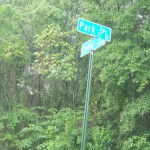 all that remains of the city's most prestigious boulevard