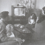 nuclear family