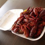 grubbin' on bugs